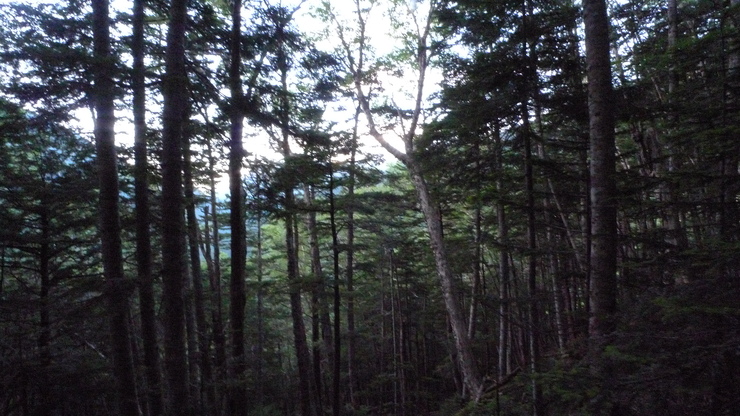 c0212083_858845.jpg