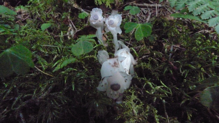 c0212083_8591288.jpg