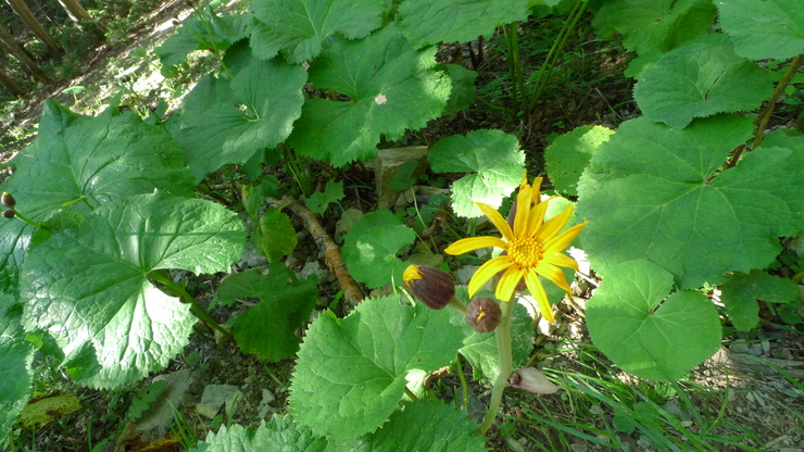 c0212083_8595770.jpg