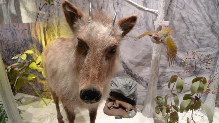 c0212083_924385.jpg