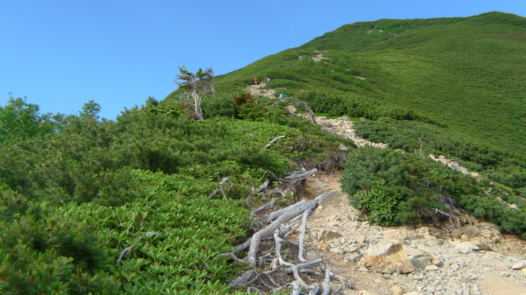 c0212083_925616.jpg