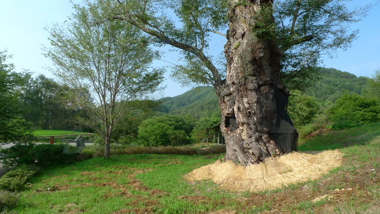 c0212083_926914.jpg