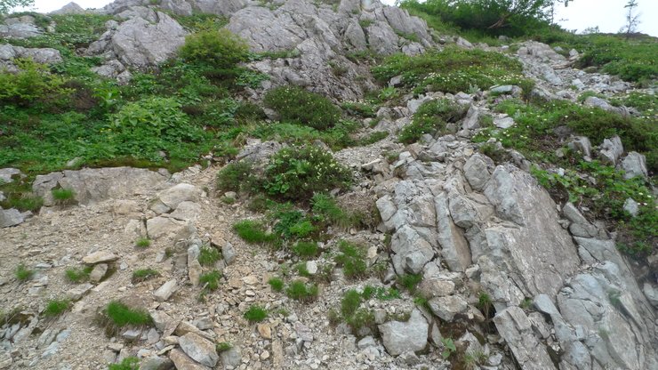 c0212083_9391551.jpg