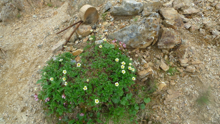 c0212083_9394878.jpg