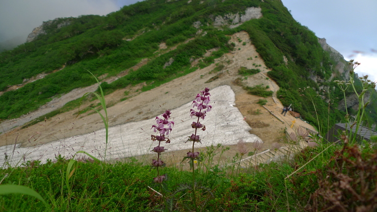 c0212083_9473716.jpg