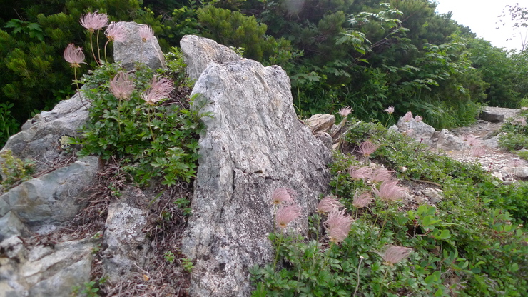 c0212083_947896.jpg