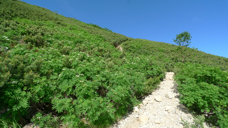 c0212083_951023.jpg