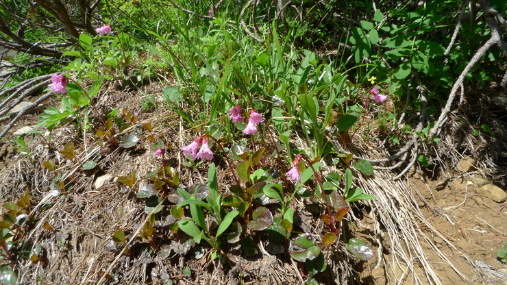 c0212083_955030.jpg