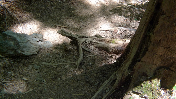 c0212083_9727100.jpg