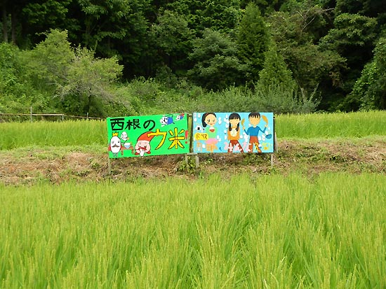 8月8日の田んぼ(月光原小・西根小)_d0247484_16153580.jpg
