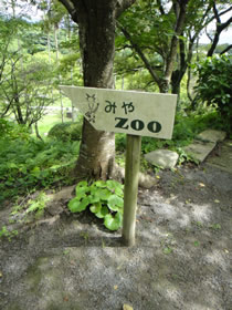 ねんきんQuiz-第308問_d0132289_23503532.jpg