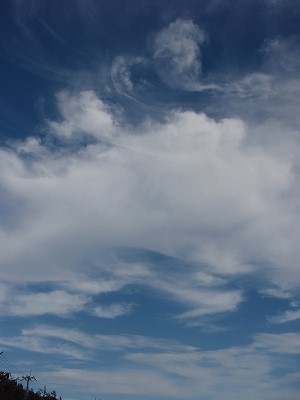 b0199498_1712618.jpg