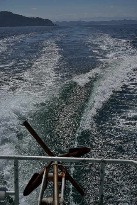 ボクのなつやすみ in 湯島_e0135098_614618.jpg