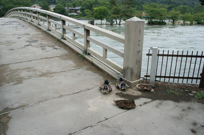 f0165303_10165476.jpg