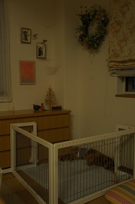 b0151504_19112571.jpg