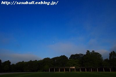 2014夏休み五日目_e0145805_2226345.jpg