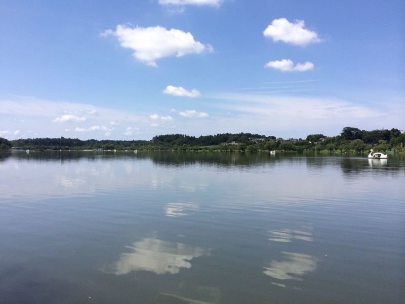 f0155808_22223569.jpg