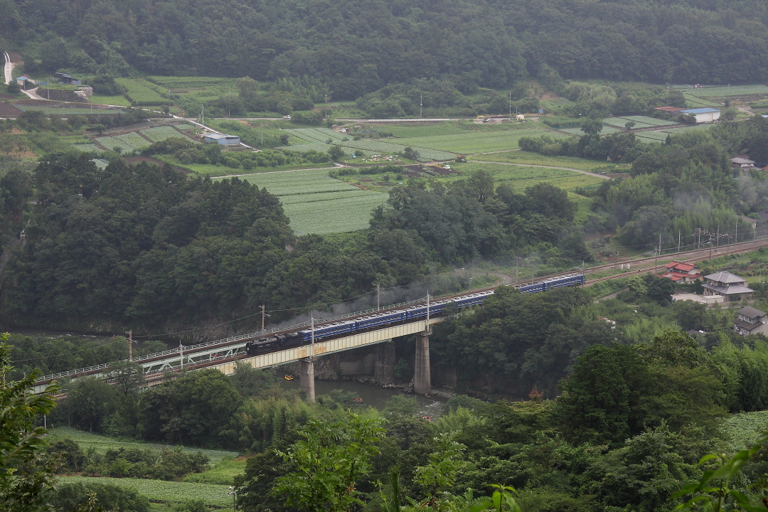 夏の緑と夏の煙　- 2014年残暑・上越線 -  _b0190710_22524390.jpg