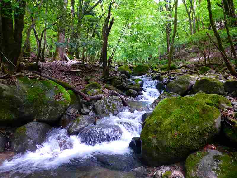 f0182513_2058926.jpg