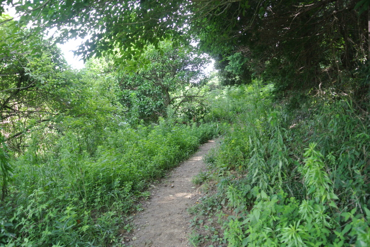b0291016_10373475.jpg