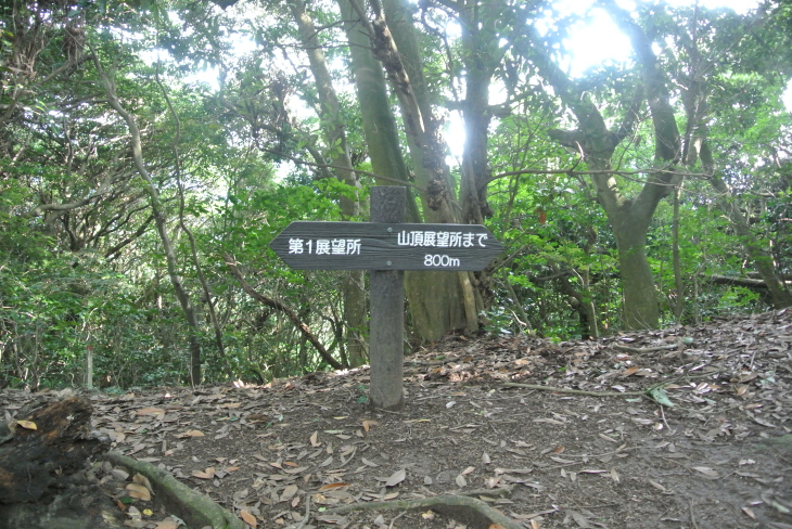 b0291016_10460206.jpg