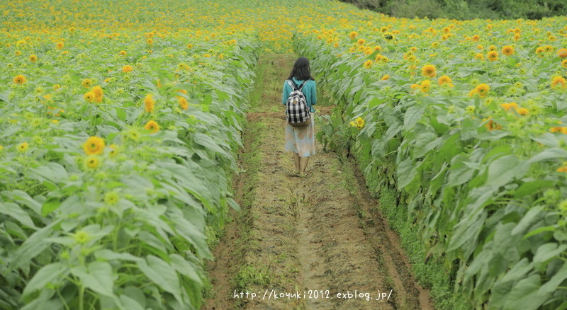 キャメラびと　と巡るカメラ女子旅　その２_b0283619_16374765.jpg