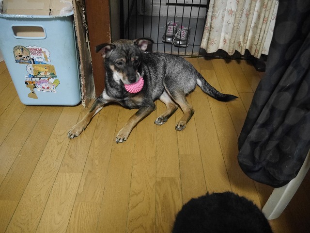f0282319_12441330.jpg
