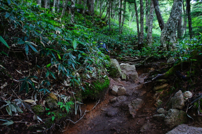 b0291820_12232384.jpg