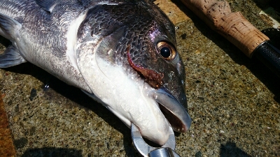 b0259124_20565730.jpg