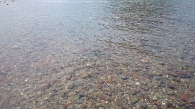 b0259124_21651.jpg