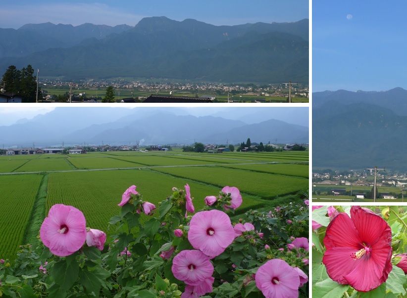朝のアルプスと芙蓉の丘_a0212730_16393162.jpg