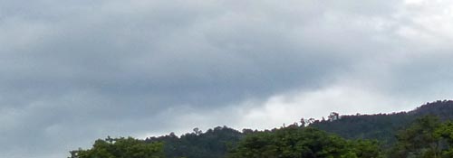 b0063436_953972.jpg