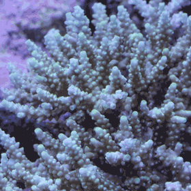 d0221436_2333235.gif