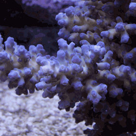 d0221436_2342573.gif