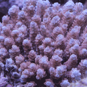 d0221436_23540100.gif