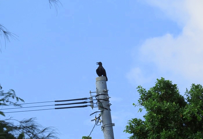 b0288942_8591086.jpg