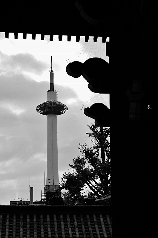 b0314043_07483923.jpg