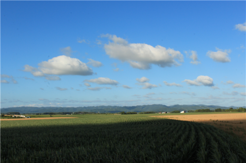 北海道の夏景色_a0104045_16513835.png