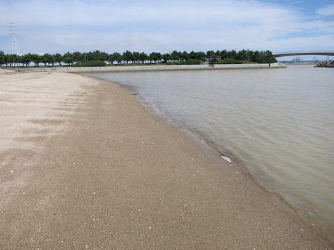 台風一過アオサ合宿の予定だったが　It was planed to compost sea lettuce after past typhoon 11th_e0020945_1322275.jpg