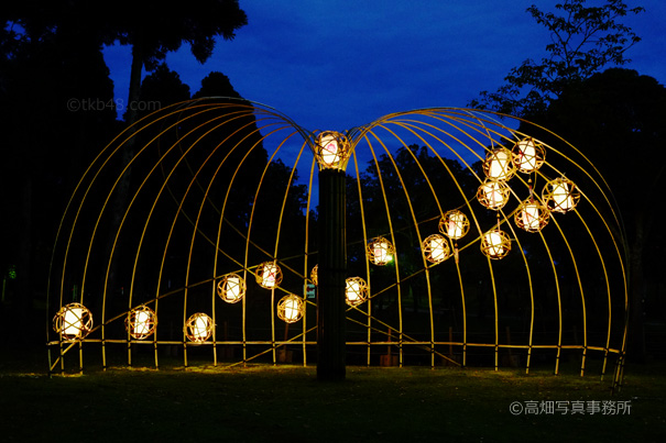 燈花会 人のいない場所 The TOUKAE, candle light event in Nara Park._e0245846_15333100.jpg