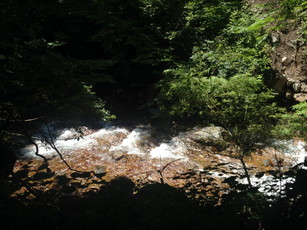e0106251_03262835.jpg