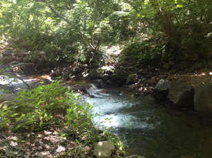 e0106251_03264216.jpg