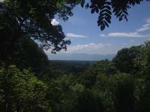 e0106251_03294217.jpg