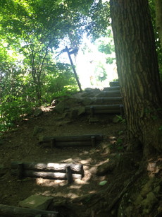 e0106251_03301242.jpg