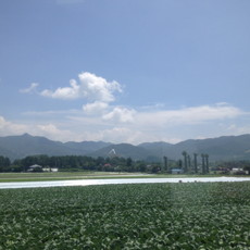 e0106251_04412459.jpg