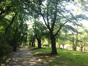 e0106251_04443328.jpg