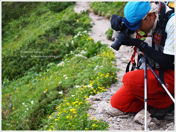 “花の名山”　中央アルプス　三ノ沢岳（2,847ｍ）　2014.7.22　【３】_b0319255_12101149.jpg