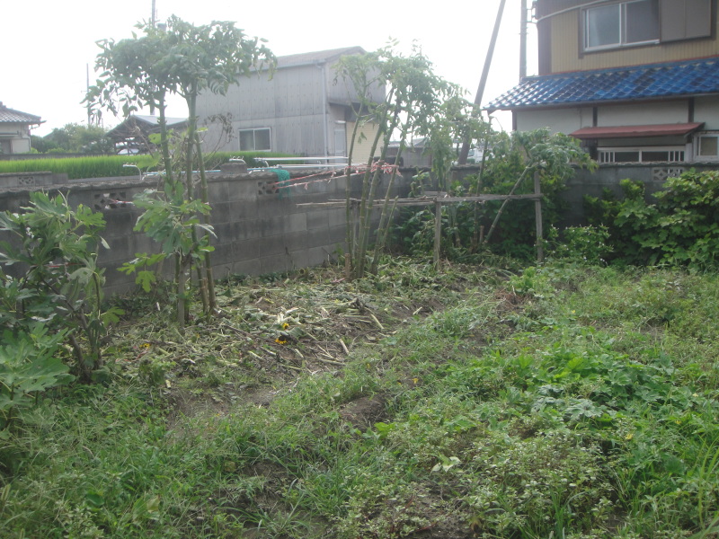 c0108460_17361395.jpg