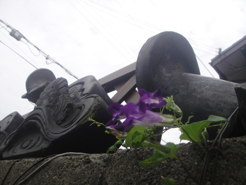 c0108460_17361828.jpg