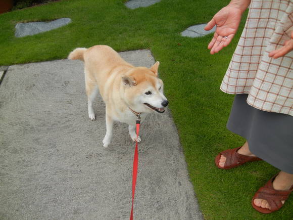 ’14,8,13(水)今日からお盆!_f0060461_10452639.jpg